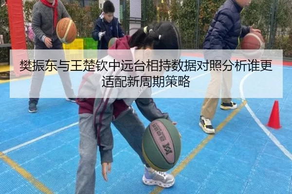 樊振东与王楚钦中远台相持数据对照分析谁更适配新周期策略