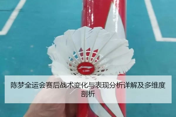 陈梦全运会赛后战术变化与表现分析详解及多维度剖析