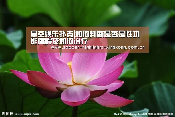 星空娱乐扑克|如何判断是否是性功能障碍及如何治疗(图3) 星空娱乐