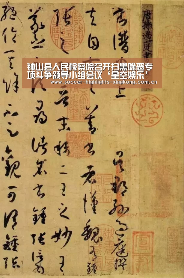 钟山县人民检察院召开扫黑除恶专项斗争领导小组会议‘星空娱乐’(图3) 星空娱乐