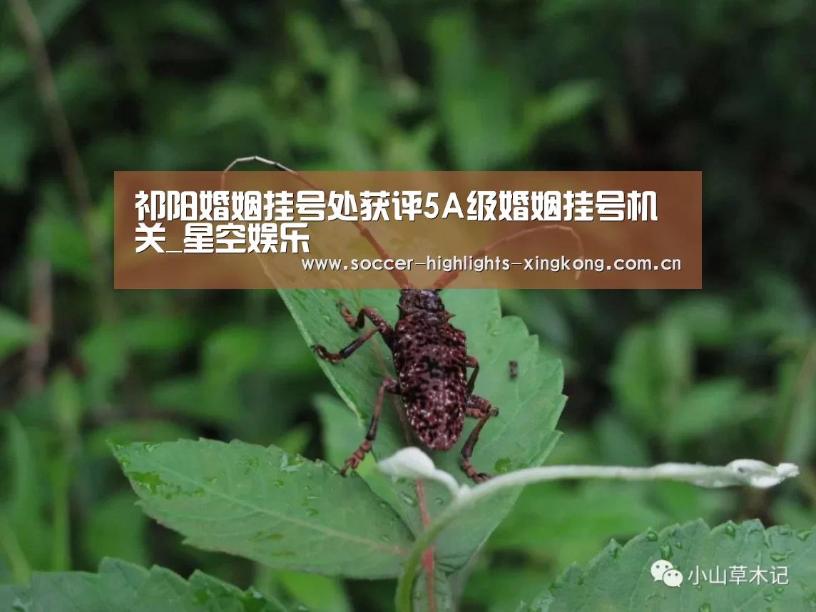祁阳婚姻挂号处获评5A级婚姻挂号机关_星空娱乐(图4) 星空娱乐官方下载
